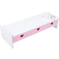Soft Girl Pink Storage Shelf